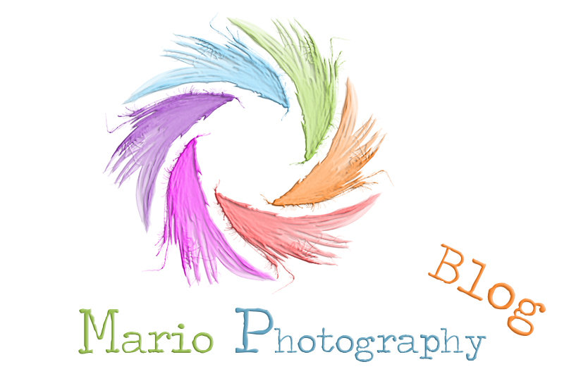 blog logo